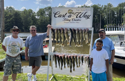 Lake Erie's Walleye Fishing Magic